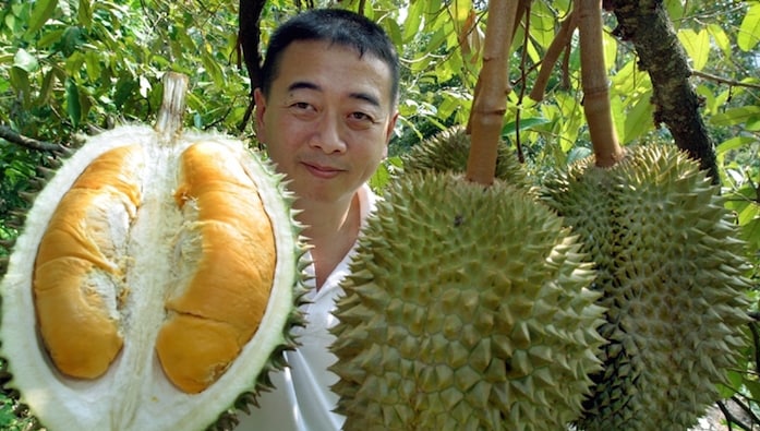 Durian Plantations